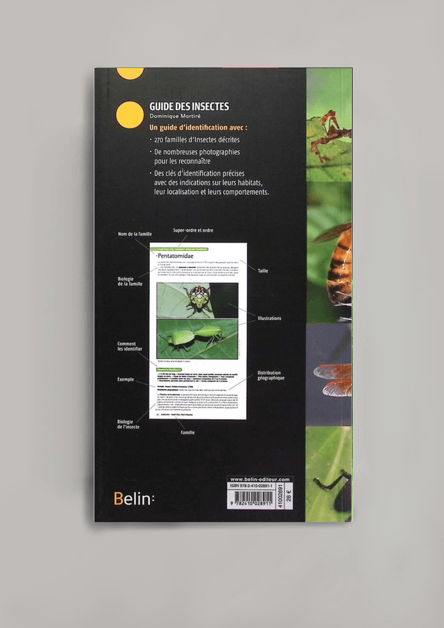 Guide des insectes (BELIN:)