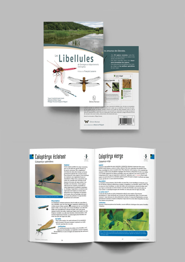 Les libellules de Dordogne et départements limitrophes