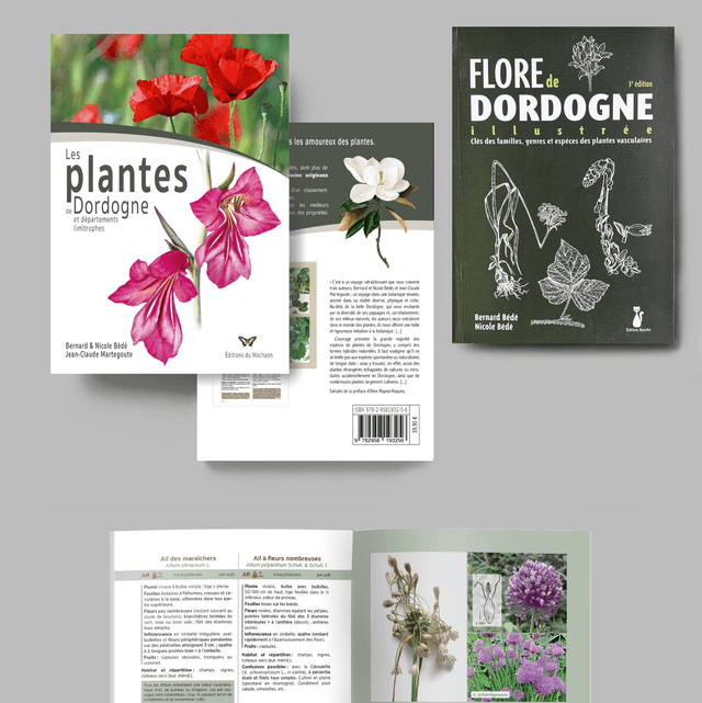 Les plantes de Dordogne et départements limitrophes avec indications des propriétés apicoles.