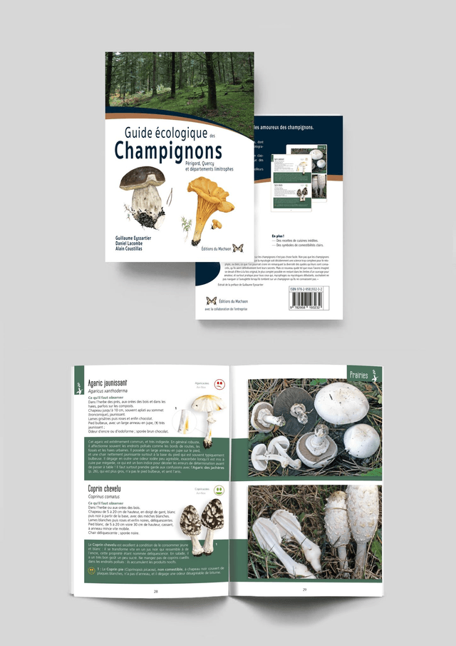 Guide écologique des champignons Périgord, Quercy et départements limitrophes