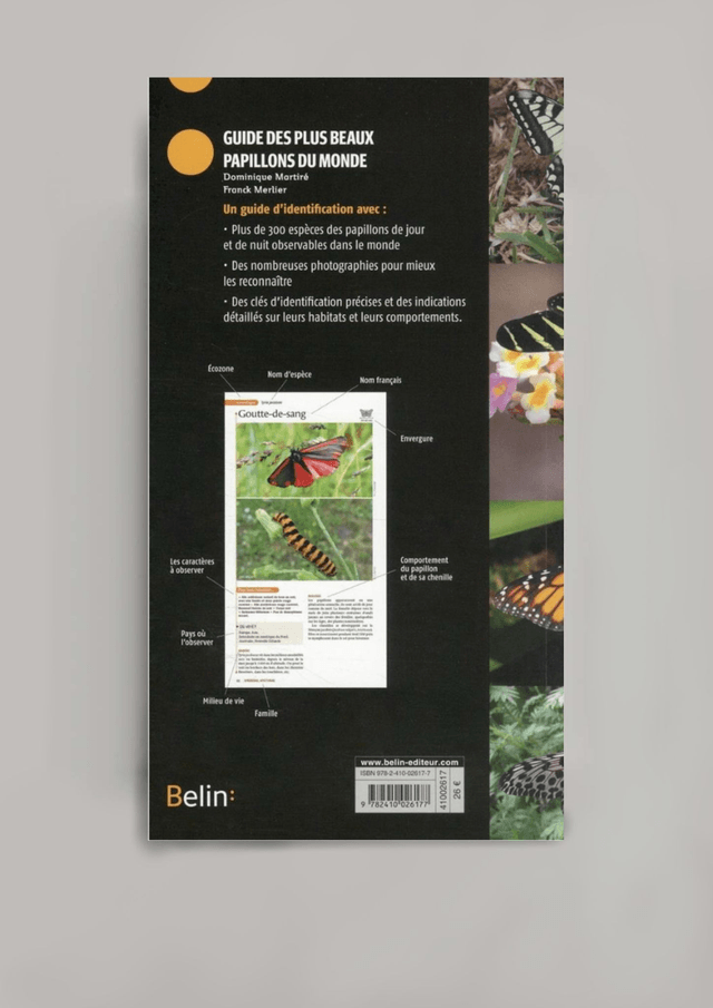 Guide des plus beaux papillons du monde (BELIN:)