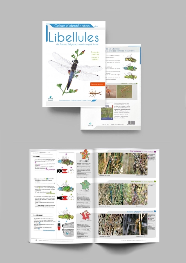 Cahier d'identification des libellules de France, Belgique, Luxembourg & Suisse (Biottope éditions)