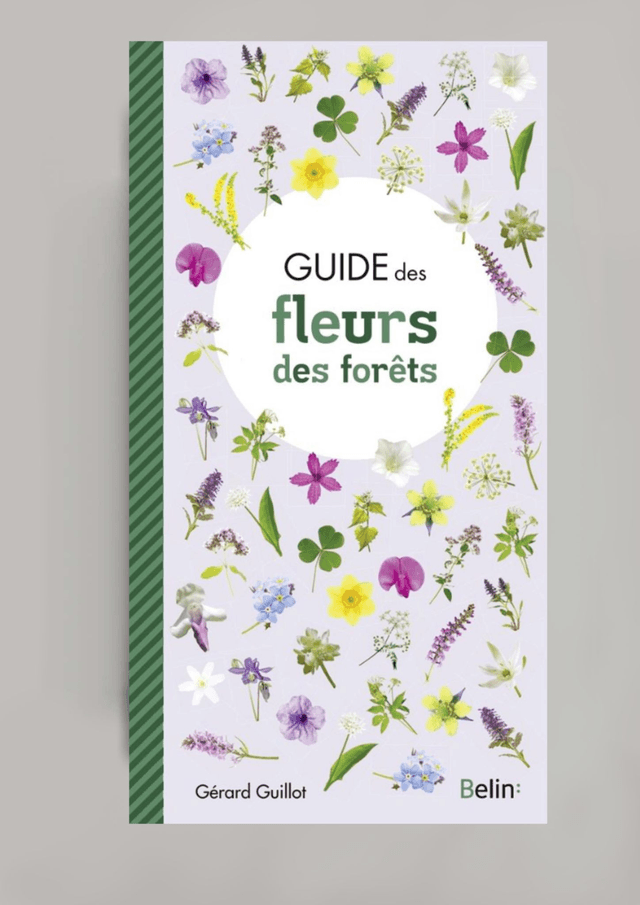 Guide des fleurs des forêts (BELIN:)